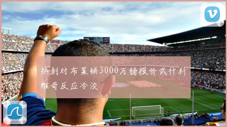热刺对布莱顿3000万镑报价武什科维奇反应冷淡